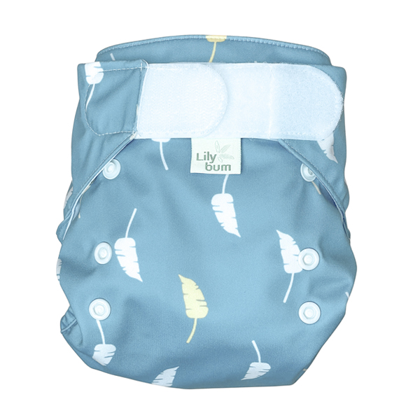 Lilybum Cover Leaves