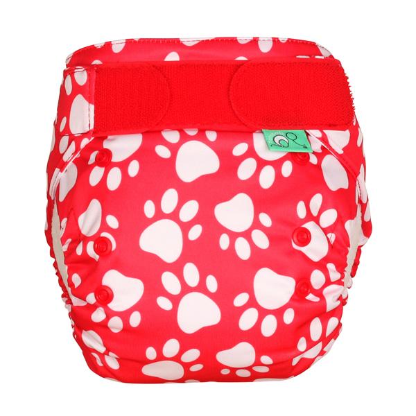 EasyFit STAR Pawfect