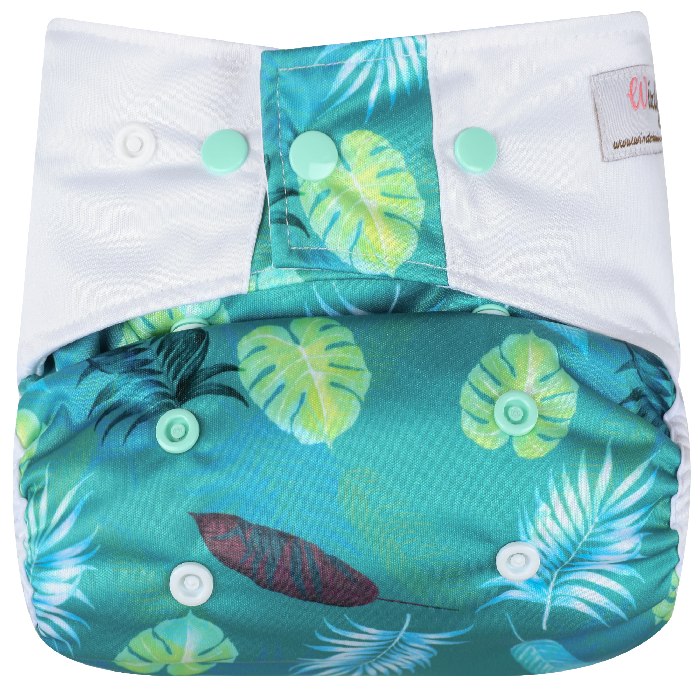 Wizly Palms Druckknöpfe